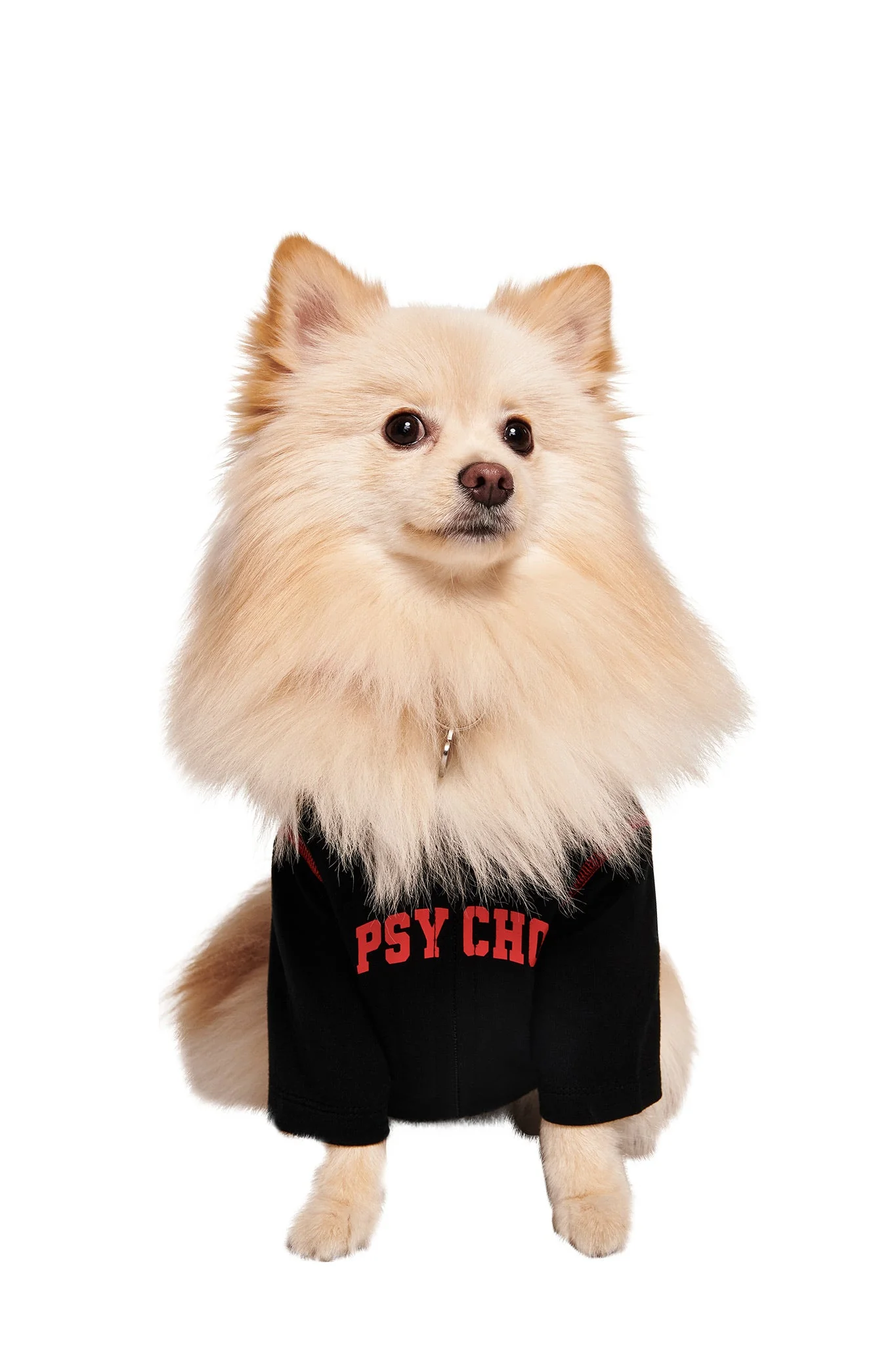 BLARE BEST FRIEND DOG HOODIE - BLACK PSYCHO - Image 3